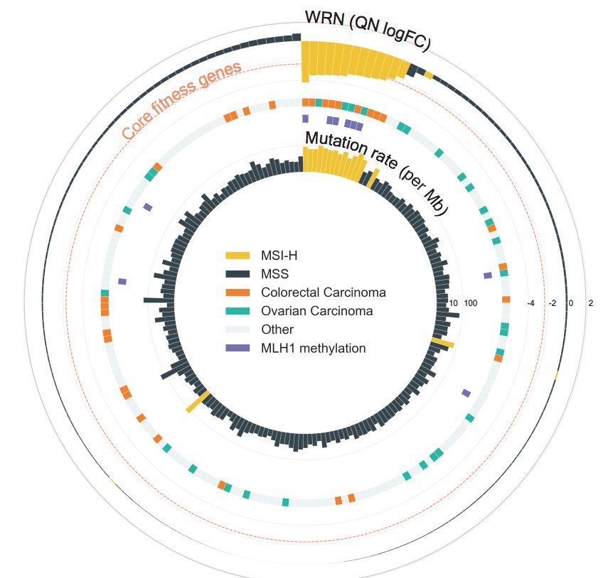 an-a-to-z-of-open-targets-experimental-projects