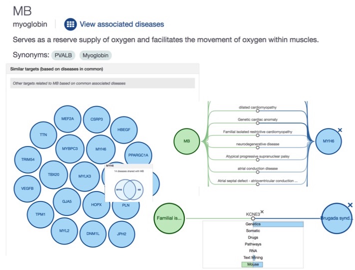 related genes visualization