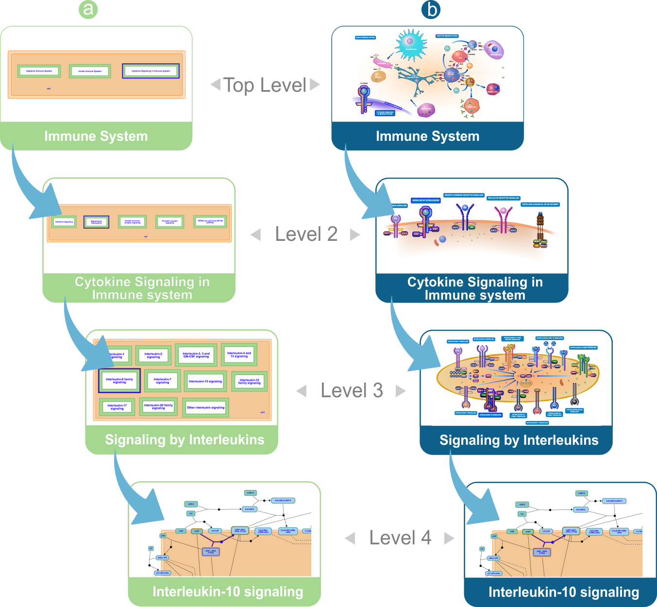 HLDs presented in both their forms