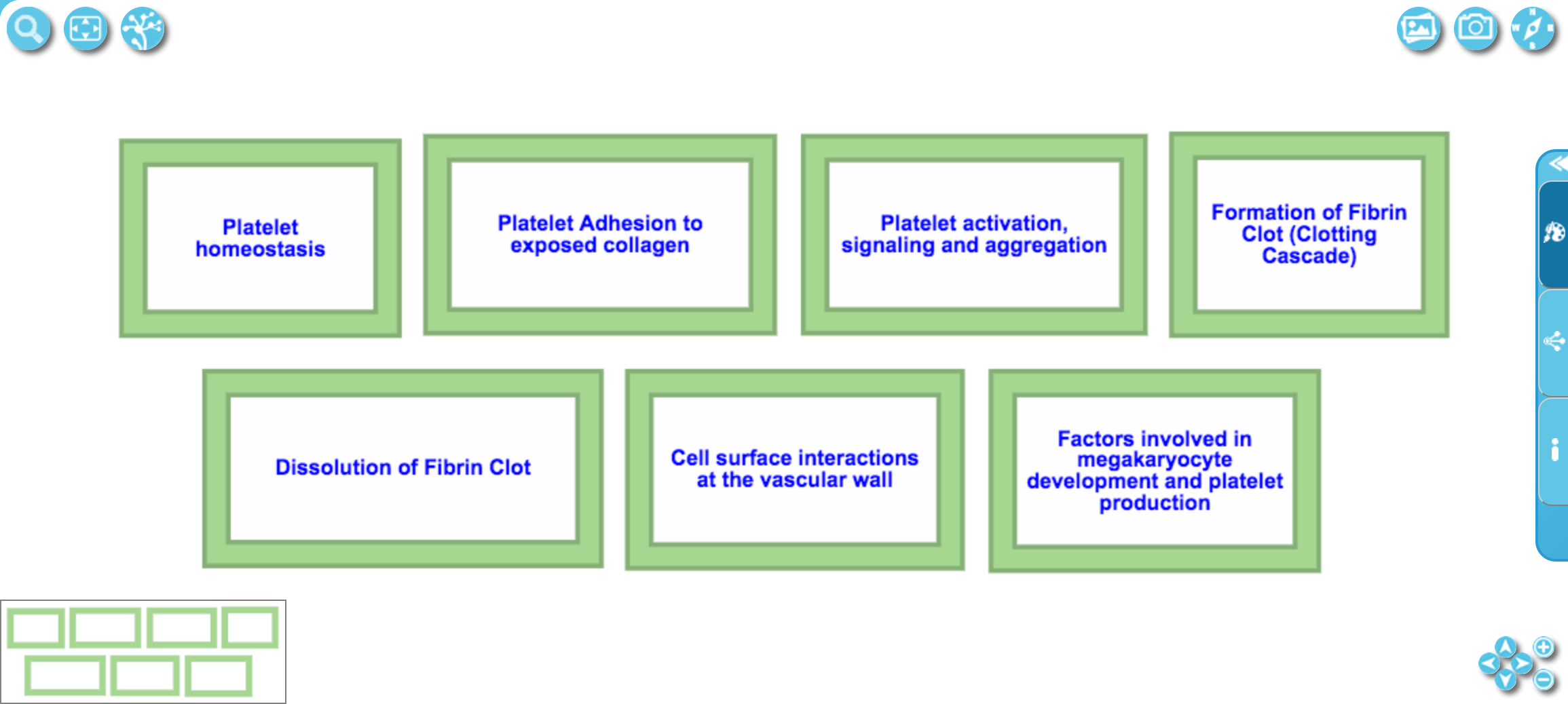 Hemostasis-HLD