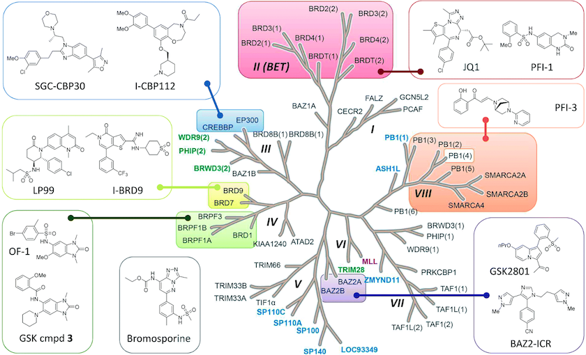 OT_ChemProbes_HeroImage-2