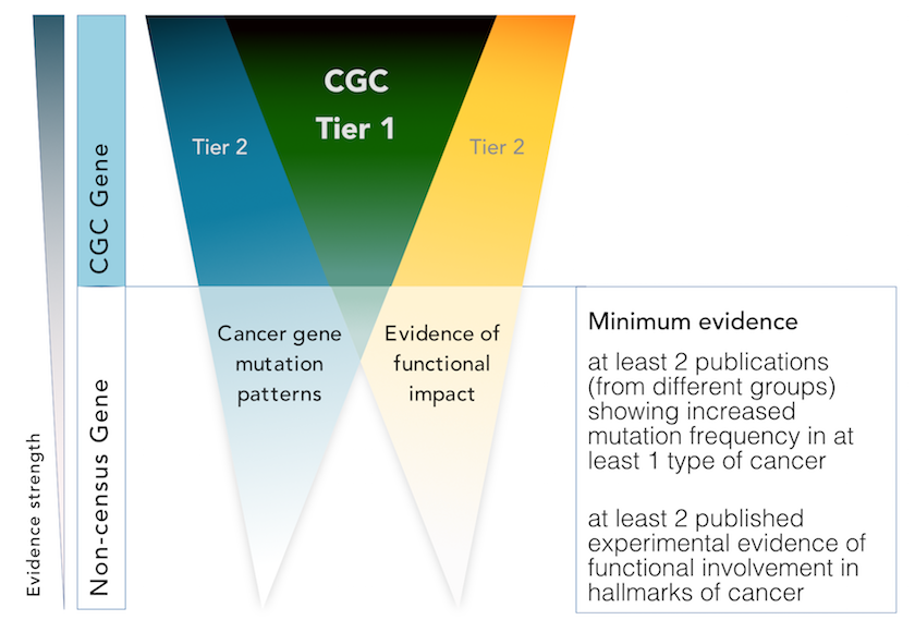 CGC_classification