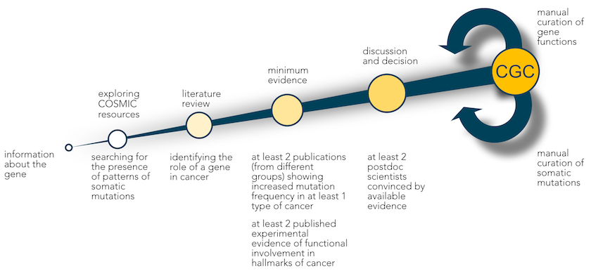 CGC_curation