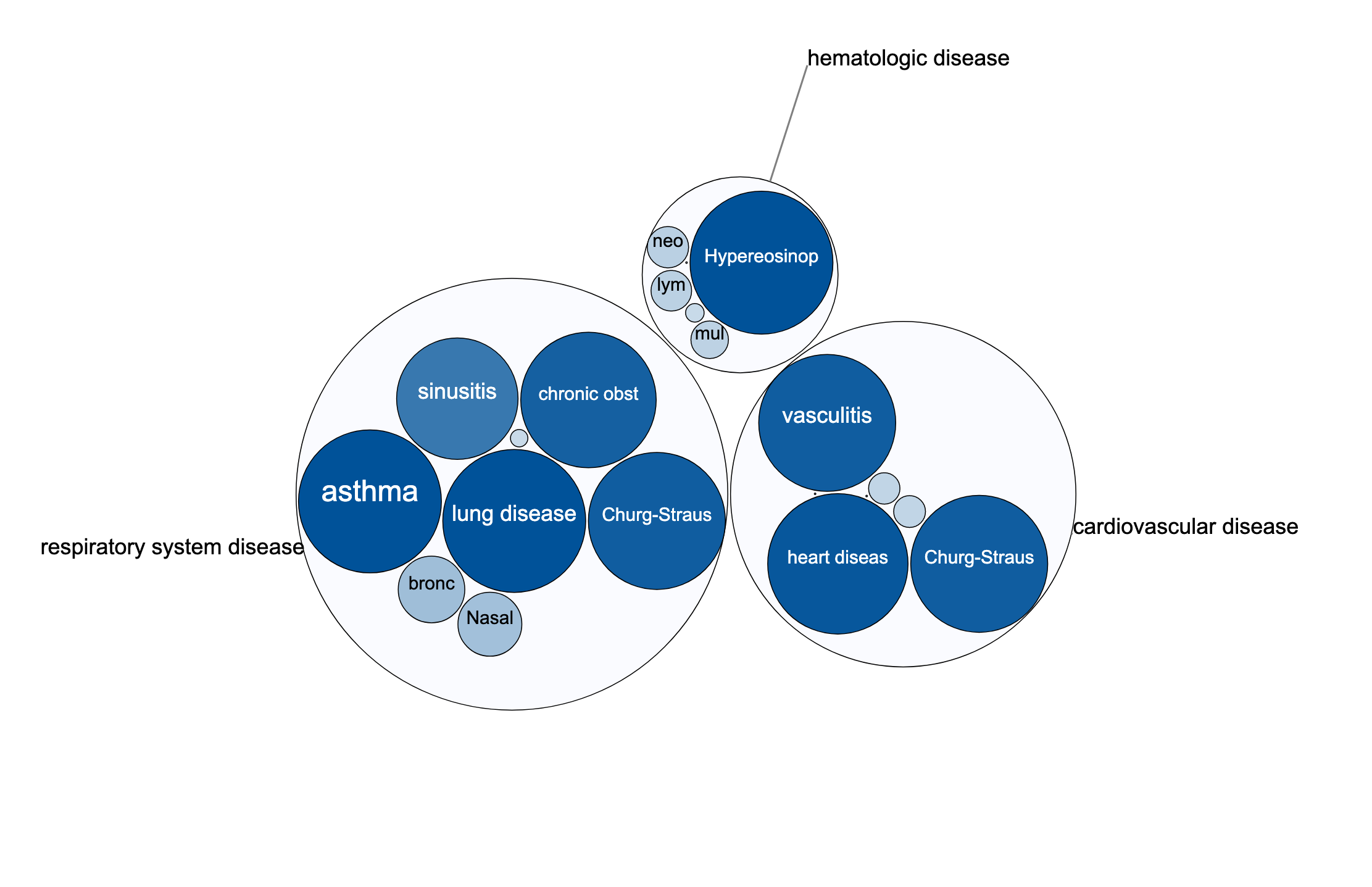 targets platform audiophiles by adding qobuz