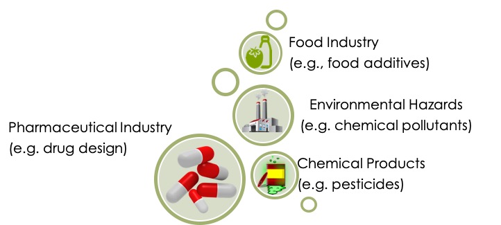 Importance of toxicity testing in drug discovery and research