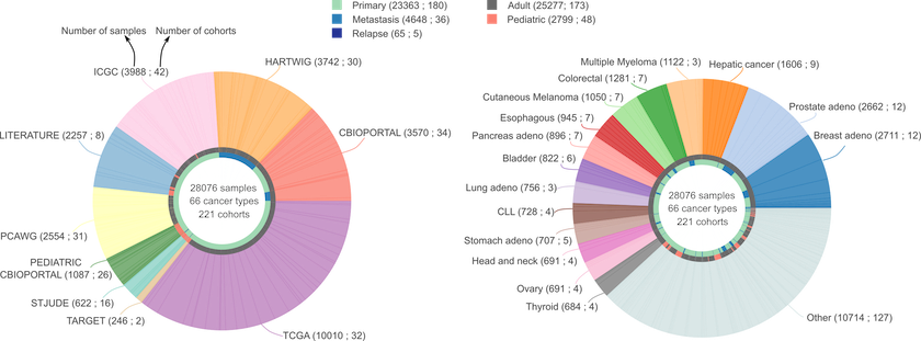 pie_charts_datasets-7