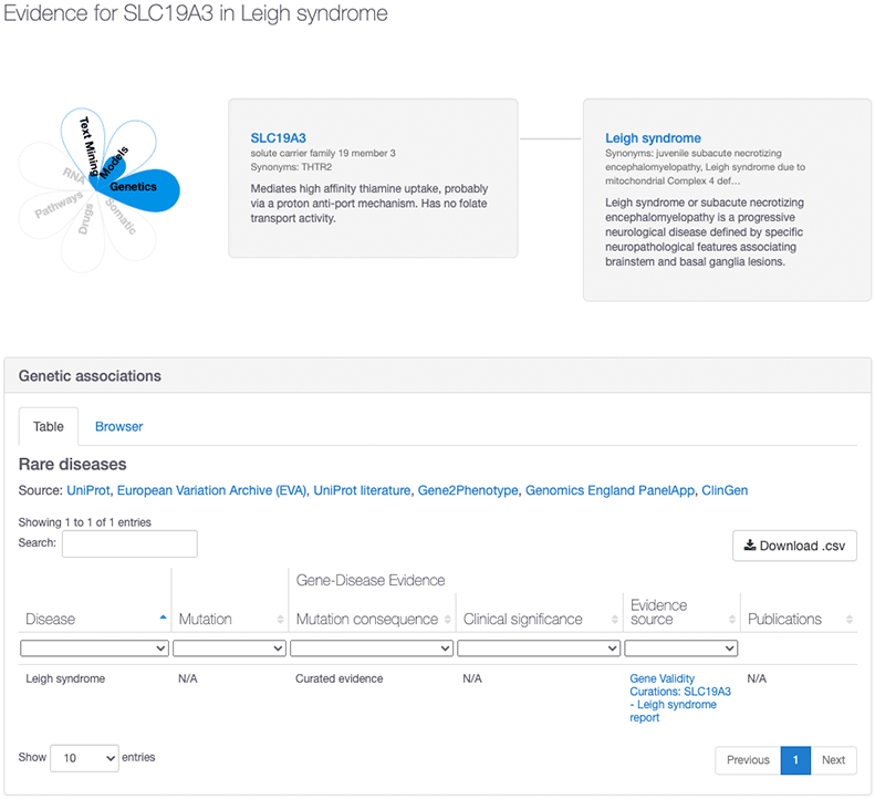 SLC19A3_Leigh_Syndrome_Genetic_Association_Evidence