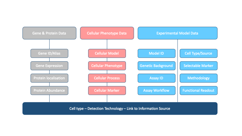 Diagram of the information capture workflow