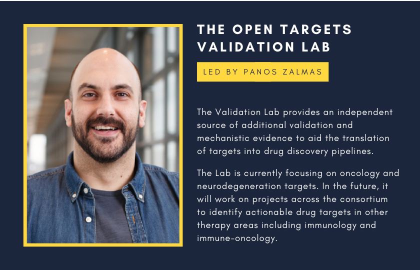The Open Targets Validation Lab, led by Panos Zalmas, pictured. The Validation Lab provides an independent source of additional validation and mechanistic evidence to aid the translation of targets into drug discovery pipelines. The Lab is currently focusing on oncology and neurodegeneration targets. In the future, it will work on projects across the consortium to identify actionable drug targets in other therapy areas including immunology and immune-oncology.