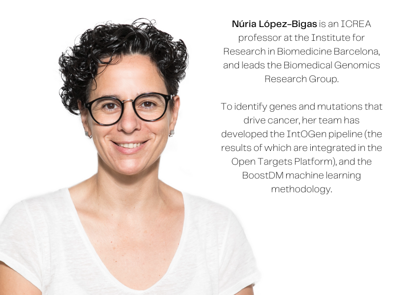 Photograph of a smiling woman with short, curly dark hair and glasses, in a white t-shirt. The caption reads: Nuria Lopez-Bigas is an ICREA professor at the Institute for Research in Biomedicine Barcelona, and leads the Biomedical Genomics Research Group. To identify genes and mutations that drive cancer, her team has developed the IntOGen pipeline (the results of which are integrated in the Open Targets Platform), and the BoostDM machine learning methodology.