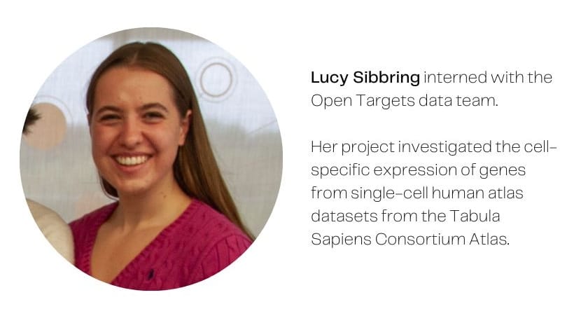 露西·西伯林（Lucy Sibbring）的照片，旁边的文字是：露西·斯伯林（露西·希伯林）在Open Targets数据团队实习。她的项目调查了来自Tabula Sapiens Consortium atlas的单细胞人类图谱数据集的基因的细胞特异性表达。