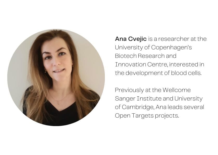 Image of Ana Cvejic, with caption: Ana Cvejic is a researcher at the University of Copenhagen’s Biotech Research and Innovation Centre, interested in the development of blood cells. Previously at the Wellcome Sanger Institute and University of Cambridge, Ana leads several Open Targets projects.