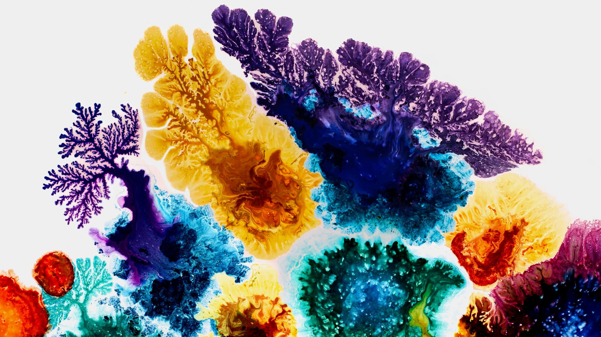 Colourful alcohol ink spreading out in tree-like patterns that bring to mind biological structures.