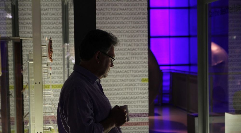 Male person holding a mug looks at a glass exhibition case, with the letters of a DNA sequence in the backdrop